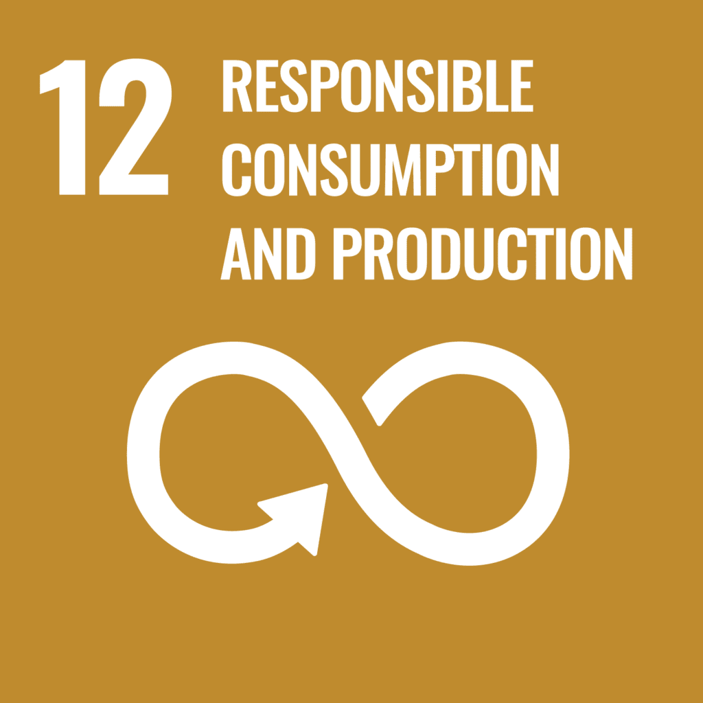 The global goal initiatives responsible consumption and production