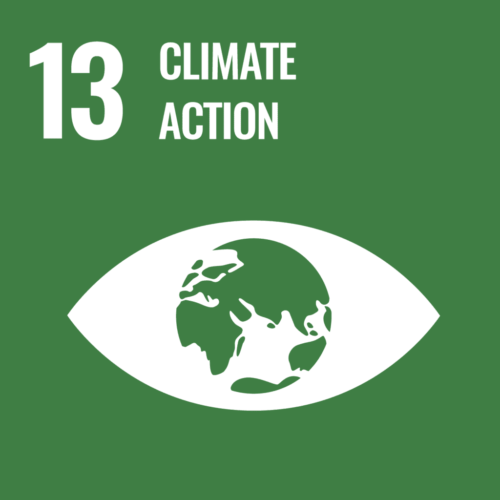 The global goal initiatives climate action